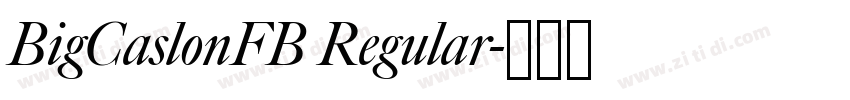 BigCaslonFB Regular字体转换